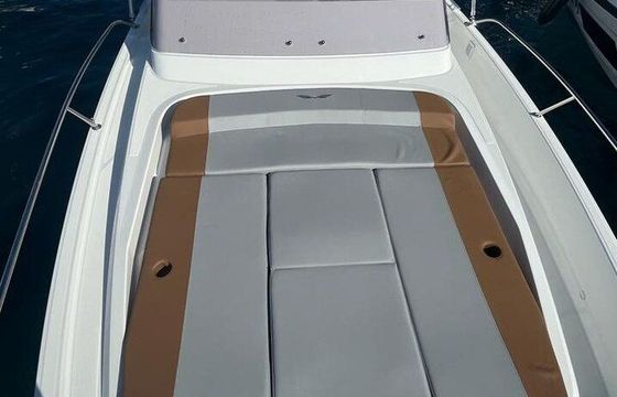 Motorboat Bénéteau Flyer 9 SUNdeck 500hp