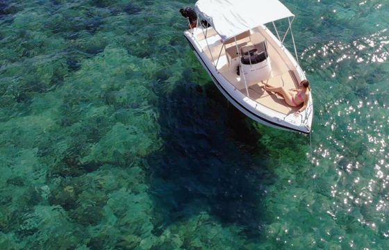 Boat without licence  Poseidon Blue Water 170 30hp