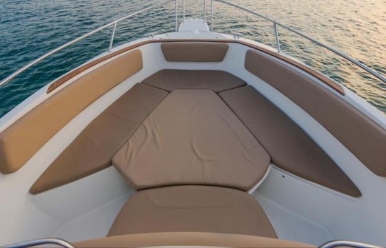 Motorboat Jeanneau Cap Camarat 7.5 Cc 225hp