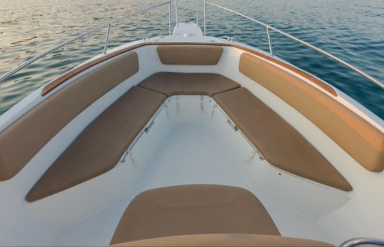 Motorboat Jeanneau Cap Camarat 7.5 Cc 225hp