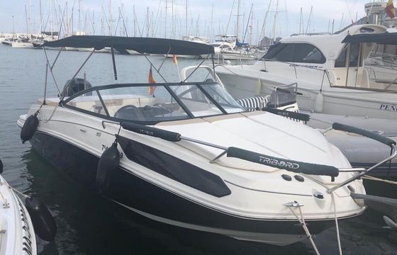Motorboat Bayliner VR5 Cuddy 150hp
