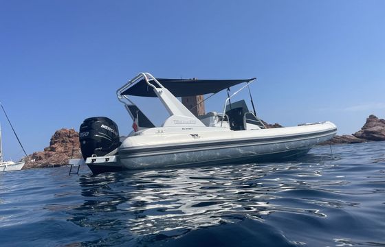 RIB Tiger Marine 8.50 350hp