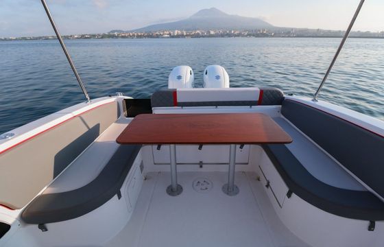 Motorboat Saver 870 400hp