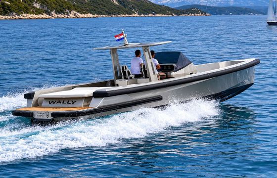 Motorboat Wally Tender 45 900hp