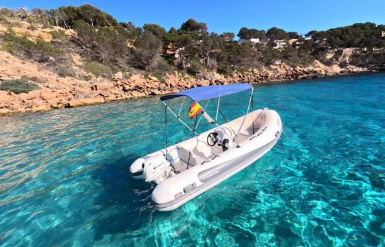 Boat without licence  Tiger Marine protender HSF440