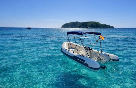 Boat without licence  Tiger Marine protender HSF440
