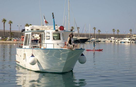 Motorboat Trapani Trapani 340hp