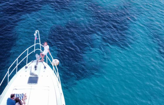 Motorboat Mochi Craft 46 Fly rev. 2022 1360hp