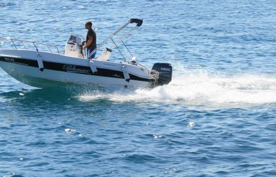 Motorboat BlueMax 550 Open 100hp