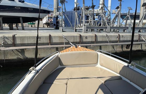 Boat without licence  PEGAZUS PEGAZUS 460 15hp