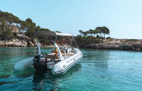 Motorboat Tiger Marine 600 90hp