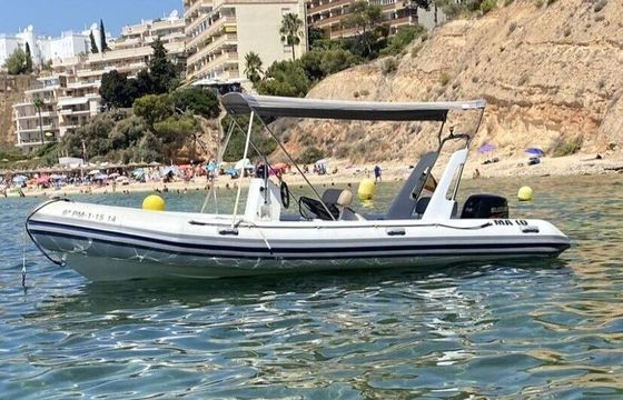 Motorboat Tiger Marine 600 90hp