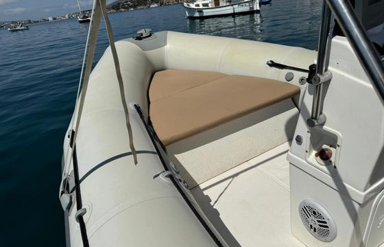 Motorboat Tiger Marine 600 90hp