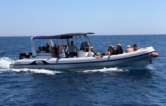 RIB MarCo 26 350hp