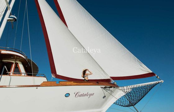 Gulet Custom Gulet Cataleya 30m
