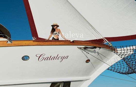 Gulet Custom Gulet Cataleya 30m