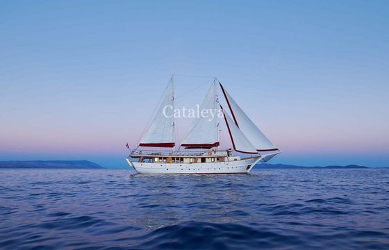 Gulet Custom Gulet Cataleya 30m