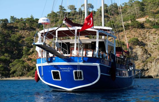 Gulet GULET 1993-2023(REFITTED) 26m