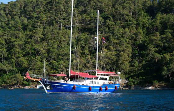 Gulet GULET 1993-2023(REFITTED) 26m
