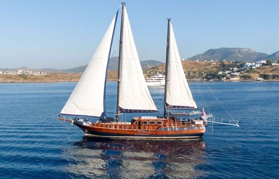 Sailboat Capricorn 1 27m
