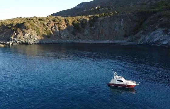 Motorboat Portofino Marine 10 Fly 480hp