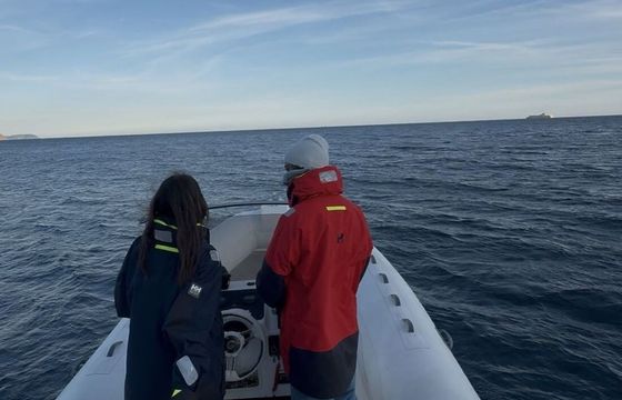 RIB Capelli Capelli Tempest 626 175hp