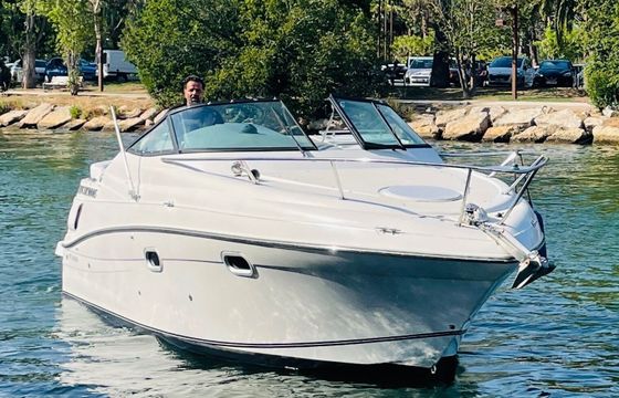 Motorboat Four Winns 248 Vista 270hp