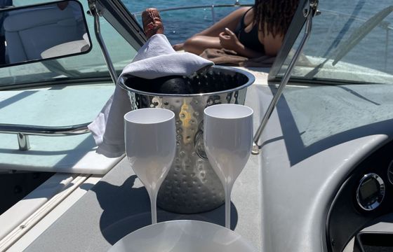 Motorboat Four Winns 248 Vista 270hp