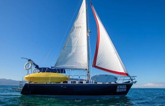 Sailboat Red 40 12.2m