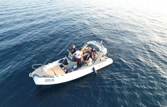 RIB Shark 23 23