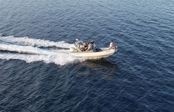 RIB Shark 23 23