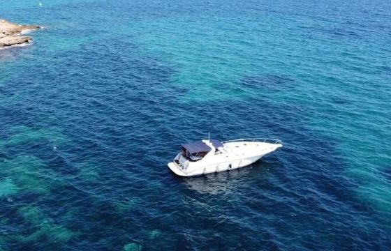 Motorboat Sea Ray 450 Sundancer 460hp