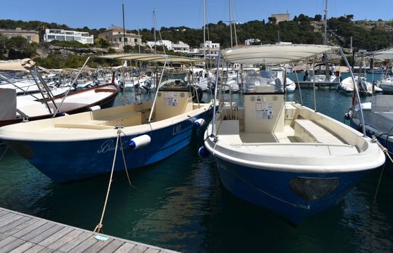 Motorboat Conero Breeze 8.20 150hp