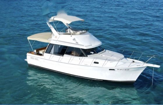 Motorboat Bayliner 11,10 500hp