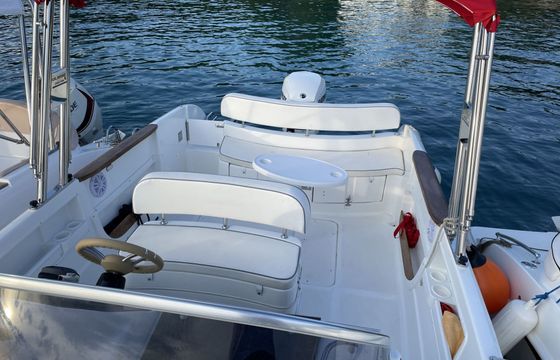Motorboat Selva Marine Selva 7.2WA 225hp