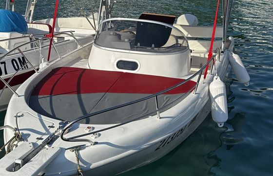 Motorboat Selva Marine Selva 7.2WA 225hp