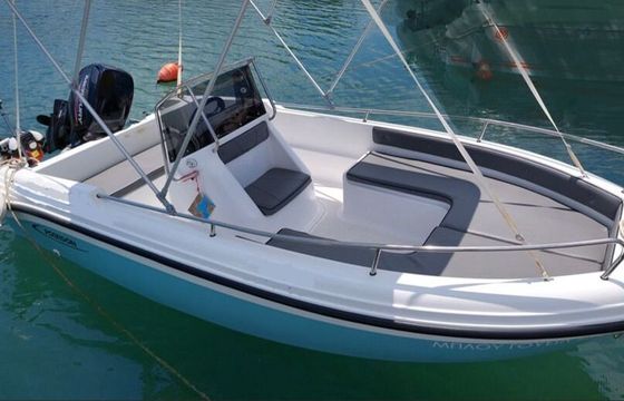 Boat without licence  Poseidon Ranieri 455 30hp