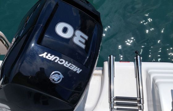 Boat without licence  Poseidon Ranieri 455 30hp