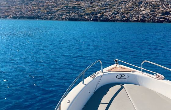 Boat without licence  Poseidon BLU WATER 185 30hp