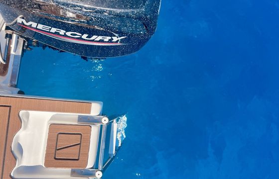 Boat without licence  Poseidon BLU WATER 185 30hp