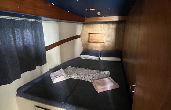 Houseboat New Con Fly Twins 30hp