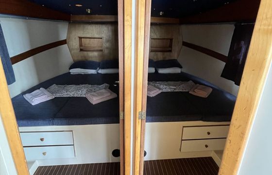 Houseboat New Con Fly Twins 30hp