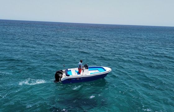 Boat without licence  PROTEUS 2022 30hp