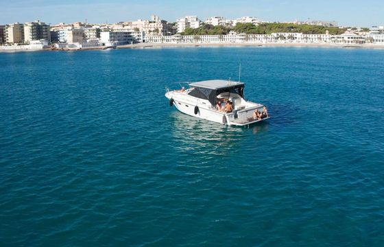 Motorboat Bertram TROJAN 33 500hp