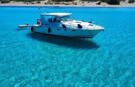 Motorboat Bertram TROJAN 33 500hp