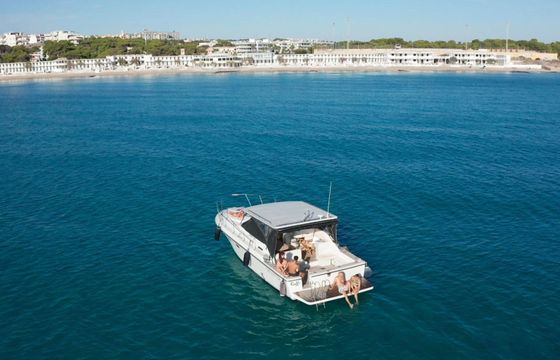 Motorboat Bertram TROJAN 33 500hp