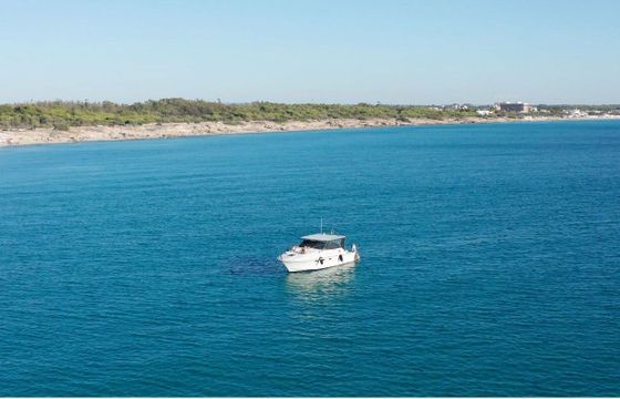 Motorboat Bertram TROJAN 33 500hp