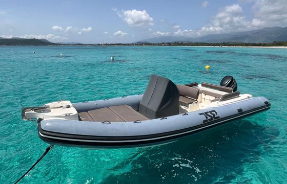 RIB Bsc Bsc 75 250hp