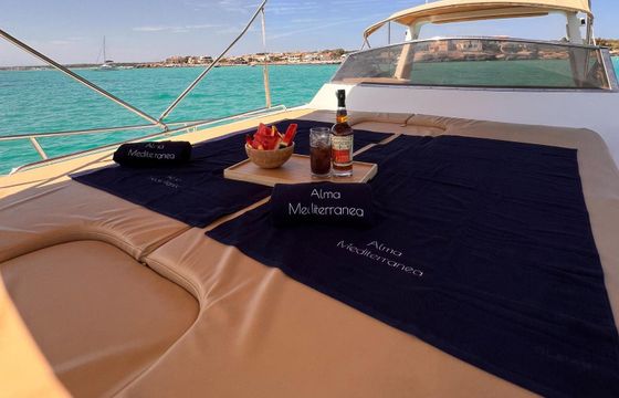 Motorboat Menorquin 120 open 310hp