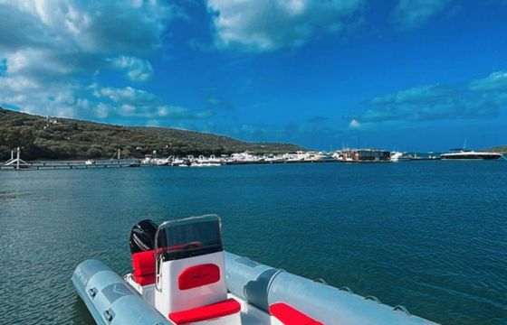 Boat without licence  Marsea Marsea sport 100 40hp